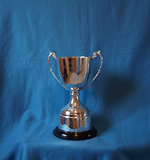 Strudwich Cup